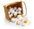 Donât put all your eggs in one basket. Royalty Free Stock Photo
